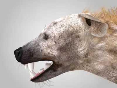 Hyena Rigged And Animated Low-poly 3D model