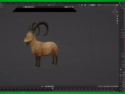 Asiatic Himalayas Ibex Low-poly 3D model