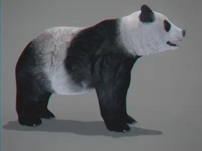 Panda Bear 3D model
