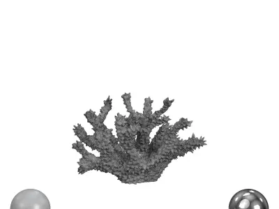 White Spike Coral 3D model
