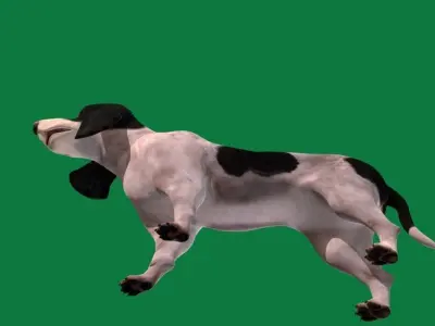 Ariegeois Dog Low-poly 3D model