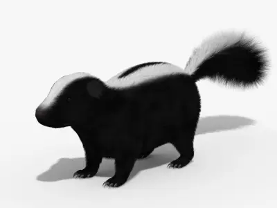 Skunk Animal 3d model 3D model