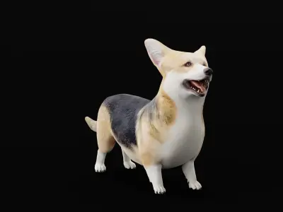 Pembroke Welsh Corgi Dog Low-poly 3D model