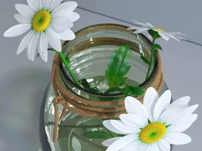 Spring daisy set 3D model