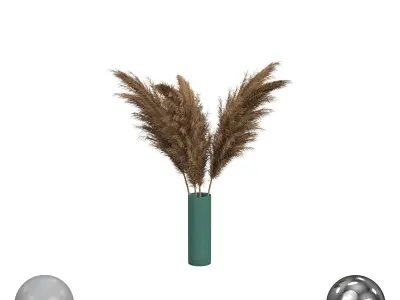 pampas grass 3D model purchase