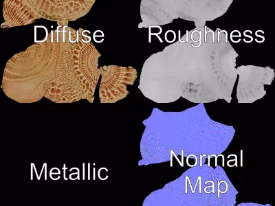 Textured Ocean Shell model pack Texture