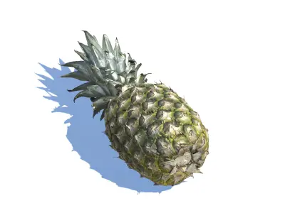 Pineapple photogrammetry scan  3D model