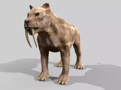 Sabertooth Low-poly 3D model