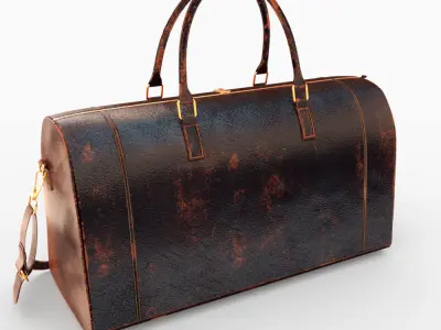 bag 2 Colour 3D model