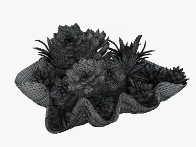 Succulents in a Giant Clam Bowl 3D model