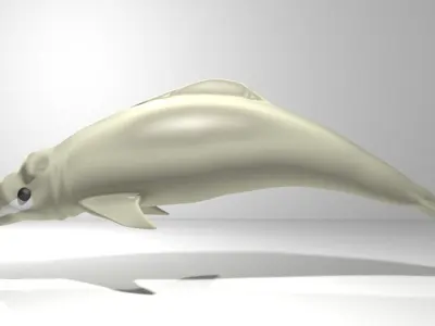 Dolphin - River 3D model