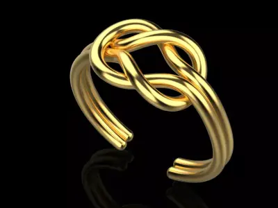 ring simple dimensionless 3D print model