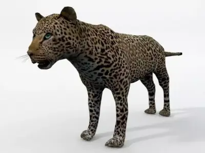Leopard Low-poly 3D model purchase