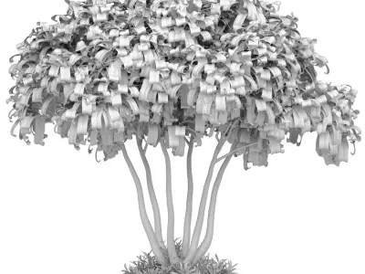 Outdoor garden plant tree shrub Bush Backyard 3D model