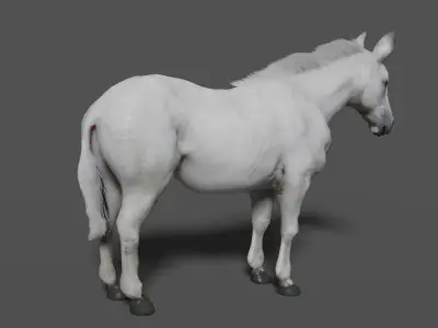 horse lowpoly Low-poly 3D model