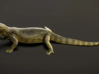Komodo Dragon  3D model