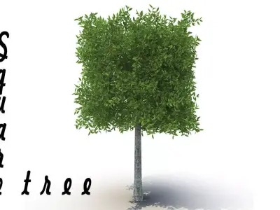Square tree 3D model