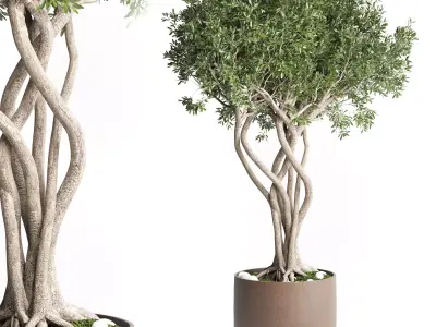 Outdoor plant 84 pot tree bonsai concrete dirt vase  3D model