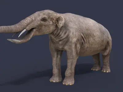 Platybelodon elephant Low-poly 3D model