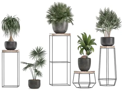 Plants in pots on a stand for the interior 525 3D model