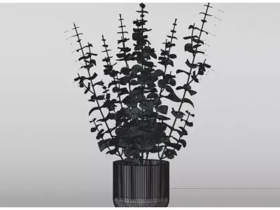 Realistic Eucalyptus Plant And Pot 3D Model 3D model