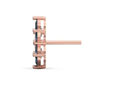 Rose Gold Six Petal Flower Stud STL 3DM Earrings model je0146 3D print model