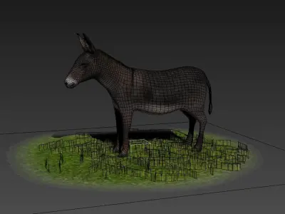 Donkeys ranches livestock breeding mammals 3D model