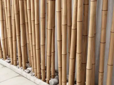 Bamboo decor n17 3D model