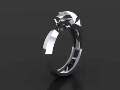 Ring Tiger 3D print model