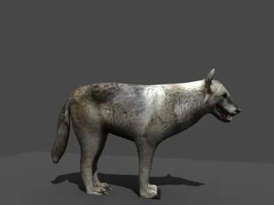 GREY WOLF Low-poly 3D model