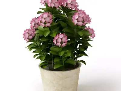 Pink Potted Flower 3D model