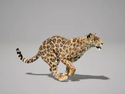 Jaguar Animated UNREAL project  Maya base rig 3D model