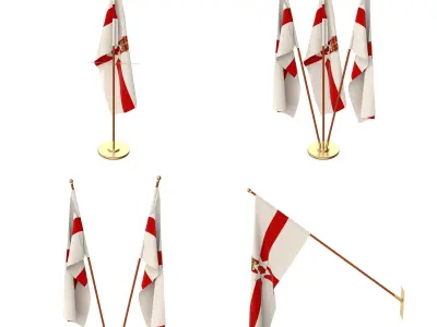 Northern Ireland Flag Pack 3D model