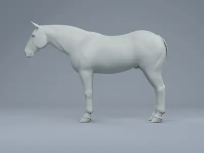 Horse mid poly zbrush 3D model