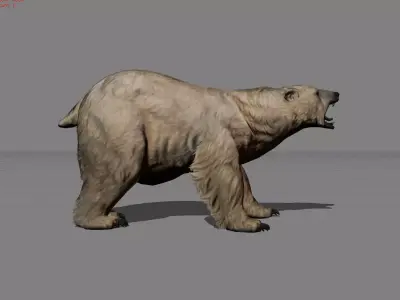 Polar Bear Animal Low-poly 3D model