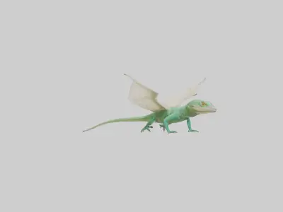 Draco Lizard gliding model Low-poly 3D model