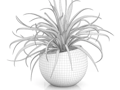 Plant in Sphere Pot 3D model