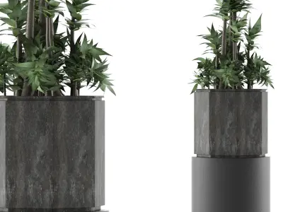 House Plant 20 3D model