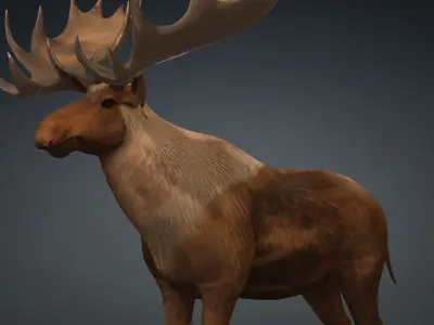 Moose-B2 3D model