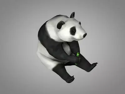 Panda or China bear Low-poly 3D model