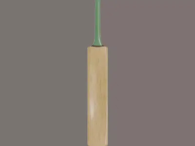Cricket Bat 3D model
