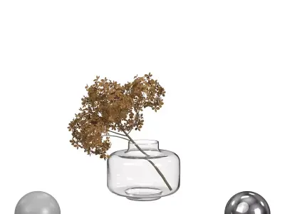 Bouquet Dried Hydrangea 3D model