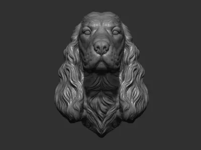 English Cocker Spaniel bust 3D print model