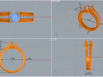 ring code 204 3D print model