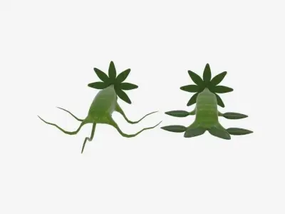  Crawling Monster Flower  Low-poly 3D model