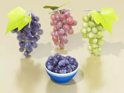 Grapes Collection High Detailed 3D model