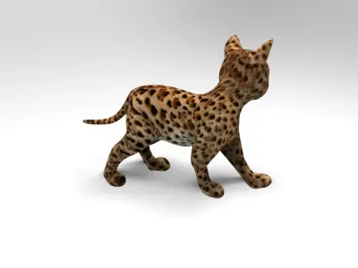 Wild Cat Rigged model Low-poly 3D model