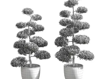 Bonsai with spherical branches - 2 models 3D model
