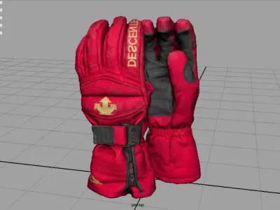 SKI Gloves Low-poly 3D model