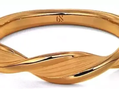 anillo retorcido 3D print model